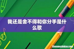 我还是舍不得和你分手是什么歌