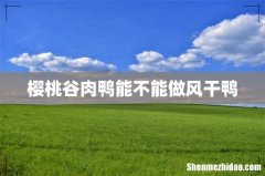 樱桃谷肉鸭能不能做风干鸭