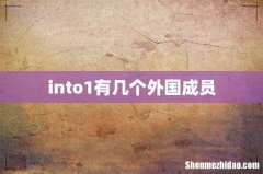 into1有几个外国成员