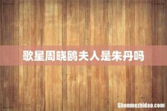 歌星周晓鸥夫人是朱丹吗