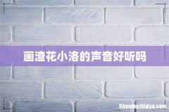 画渣花小洛的声音好听吗