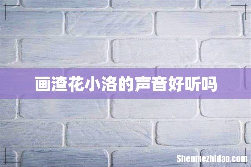 画渣花小洛的声音好听吗