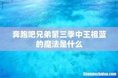 奔跑吧兄弟第三季中王祖蓝的魔法是什么