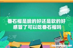 番石榴是脆的好还是软的好 感冒了可以吃番石榴吗