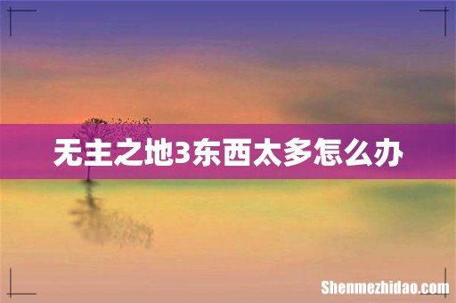 无主之地3东西太多怎么办