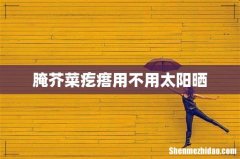 腌芥菜疙瘩用不用太阳晒