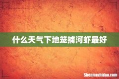 什么天气下地笼捕河虾最好