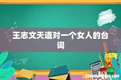 王志文天道对一个女人的台词