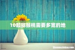 10颗猕猴桃需要多宽的地