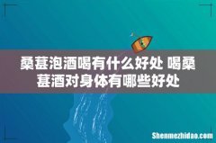 桑葚泡酒喝有什么好处 喝桑葚酒对身体有哪些好处