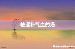 祛湿补气血的汤