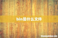 bin是什么文件