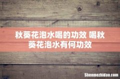 秋葵花泡水喝的功效 喝秋葵花泡水有何功效