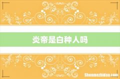 炎帝是白种人吗