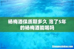 杨梅酒保质期多久 泡了5年的杨梅酒能喝吗