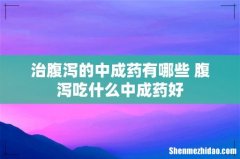 治腹泻的中成药有哪些 腹泻吃什么中成药好