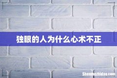 独眼的人为什么心术不正
