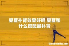 桑葚补肾效果好吗 桑葚和什么搭配最补肾