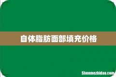 自体脂肪面部填充价格