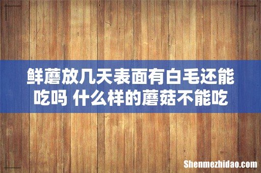 鲜蘑放几天表面有白毛还能吃吗 什么样的蘑菇不能吃
