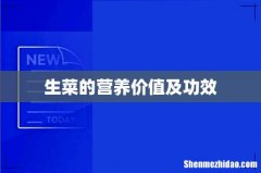 生菜的营养价值及功效