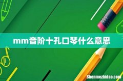 mm音阶十孔口琴什么意思