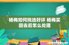 杨梅如何挑选好坏 杨梅买回去后怎么处理