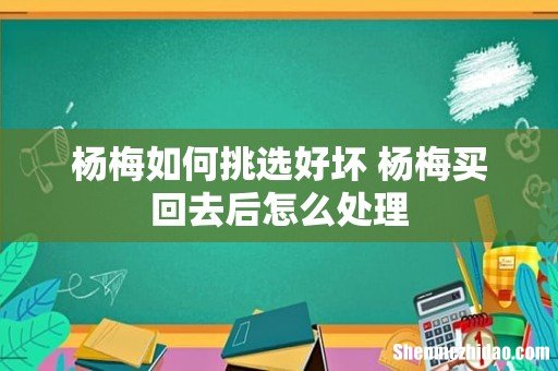 杨梅如何挑选好坏 杨梅买回去后怎么处理