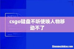 csgo键盘不听使唤人物移动不了
