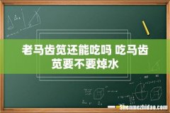 老马齿笕还能吃吗 吃马齿苋要不要焯水