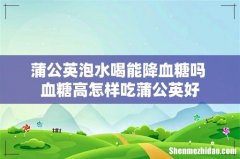 蒲公英泡水喝能降血糖吗 血糖高怎样吃蒲公英好