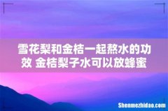 雪花梨和金桔一起熬水的功效 金桔梨子水可以放蜂蜜吗