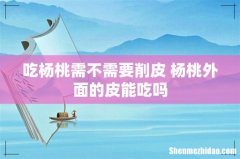 吃杨桃需不需要削皮 杨桃外面的皮能吃吗