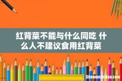 红背菜不能与什么同吃 什么人不建议食用红背菜