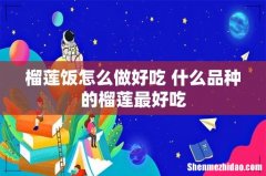 榴莲饭怎么做好吃 什么品种的榴莲最好吃