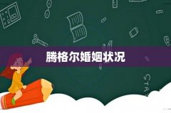 腾格尔婚姻状况
