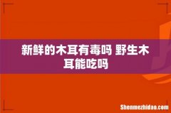 新鲜的木耳有毒吗 野生木耳能吃吗