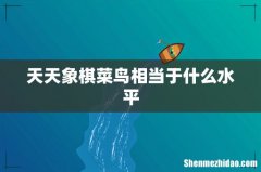 天天象棋菜鸟相当于什么水平