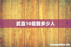 武直10能载多少人