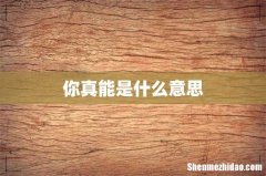 你真能是什么意思
