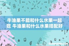 牛油果不能和什么水果一起吃 牛油果和什么水果搭配好