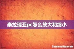 泰拉瑞亚pc怎么放大和缩小