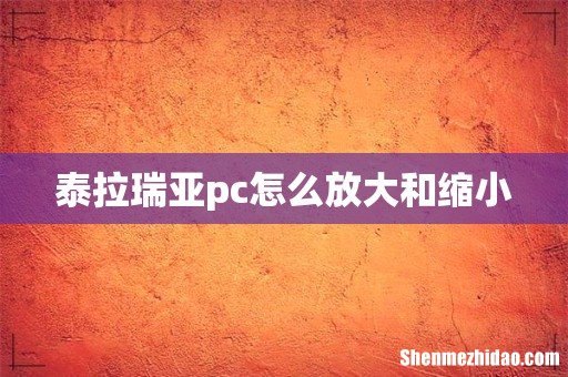 泰拉瑞亚pc怎么放大和缩小