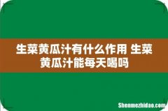 生菜黄瓜汁有什么作用 生菜黄瓜汁能每天喝吗