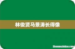 林俊贤马景涛长得像