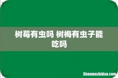 树莓有虫吗 树梅有虫子能吃吗