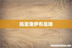 捣蛋鬼伊布是啥