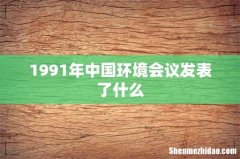 1991年中国环境会议发表了什么