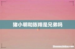 猪小明和陈翔是兄弟吗