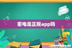 密电是正规app吗